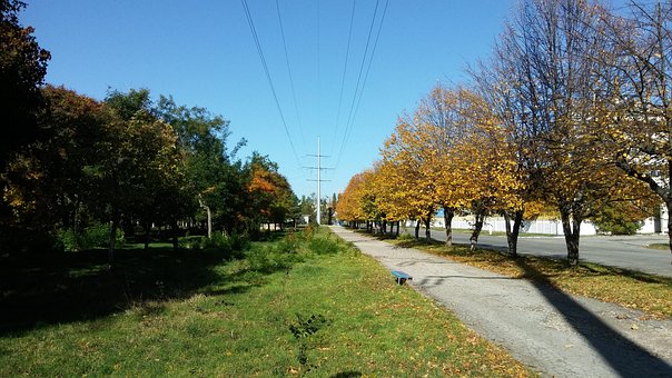 Весна, Осень, Дерево, Природа, Осенние