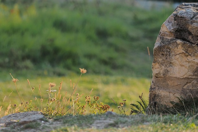Free Ruins Masonry photo and picture