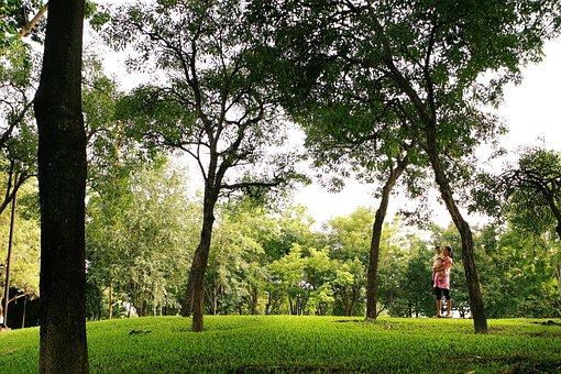 Mother And Child, The Park, Tree, Rest