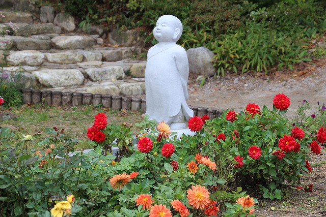 Free Dahlia Temple photo and picture