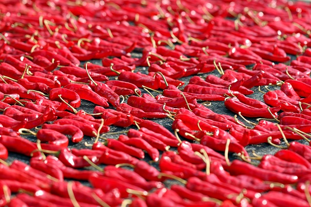 Free Pepper Chili Pepper photo and picture