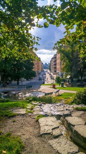 Free Stockholm Park photo and picture