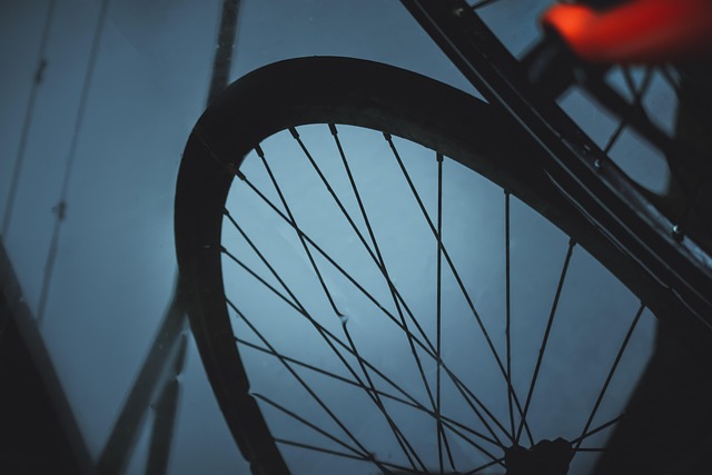 Free Bicicleta Bycicle photo and picture