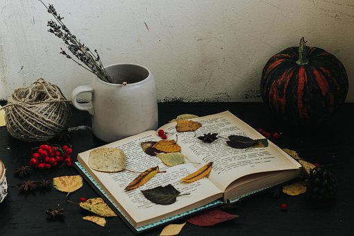 Free Autumn Pumpkin photo and picture