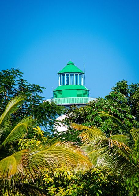 Free Belize Harvest Caye photo and picture