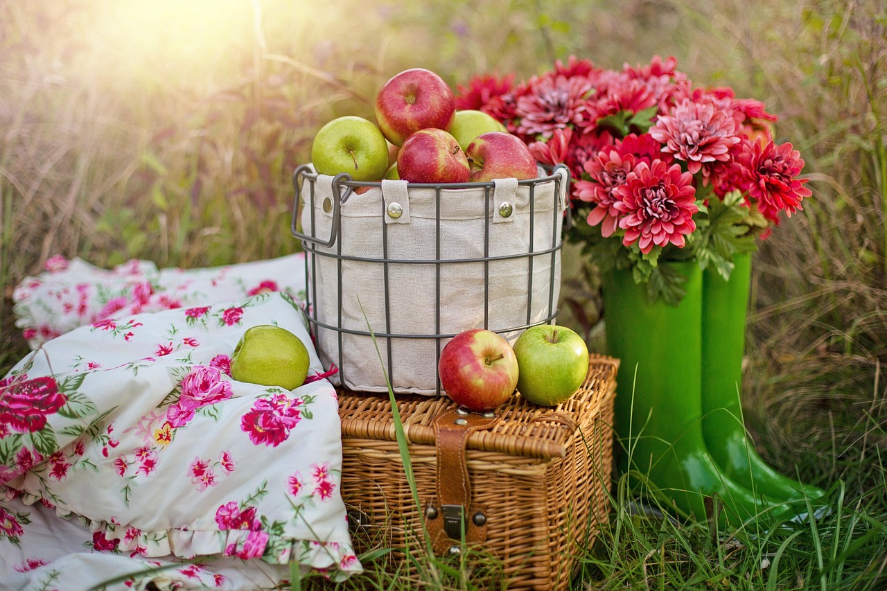 1,000+ Free Picnic Pictures and Images for Download - Pixabay