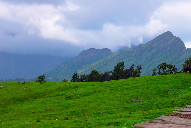 Free Landscape Field photo and picture