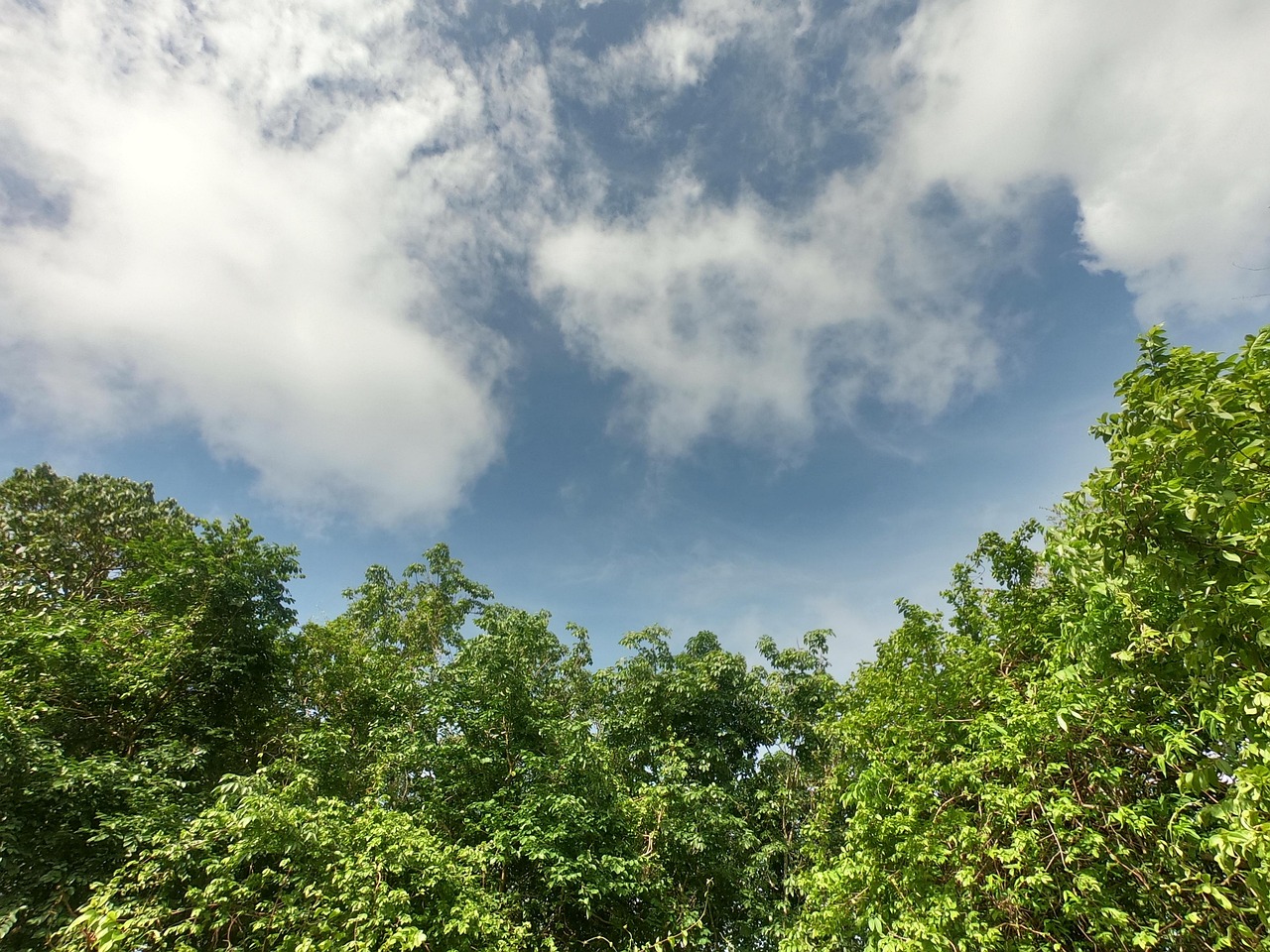 Sky Blue Kerala - Free photo on Pixabay - Pixabay