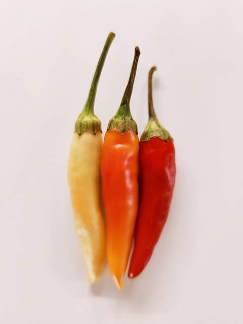 Free Chili Pepper Vegetables photo and picture