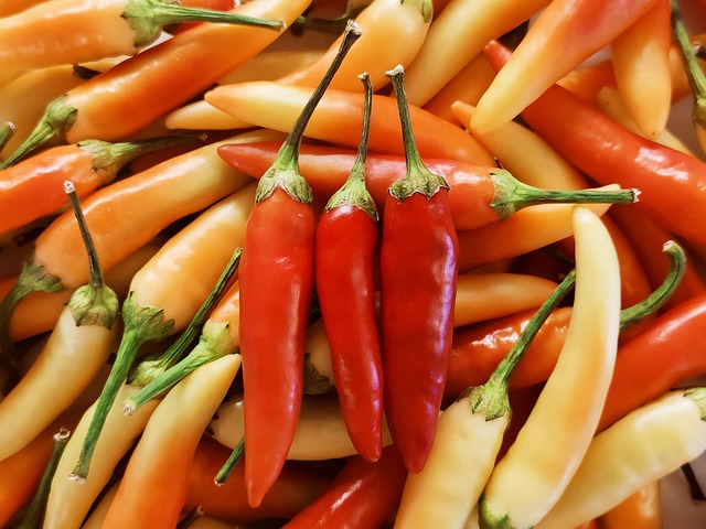 Free Chili Pepper Color photo and picture