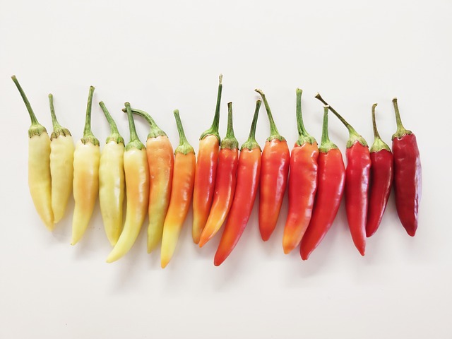Free Chili Pepper Color photo and picture