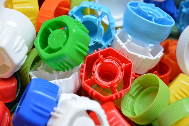 プラスチック ふた 生態学 - Pixabayの無料写真 - Pixabay
