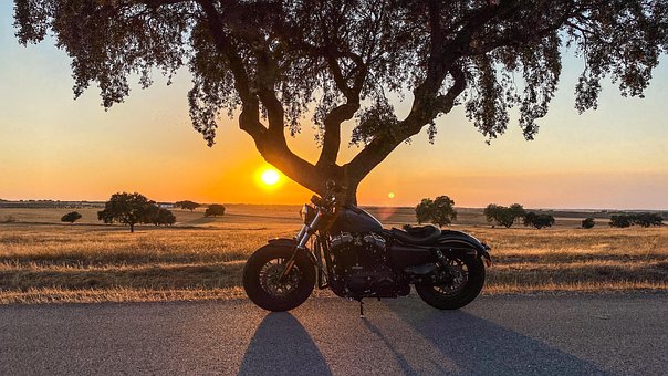 Motorsykkel, Solnedgang, Tre