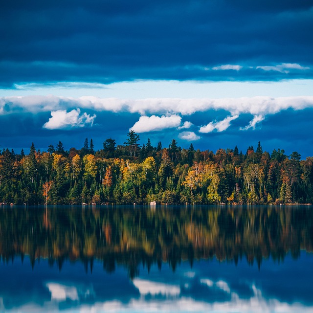 Floresta, Bosques, Lago, Arvores, Agua