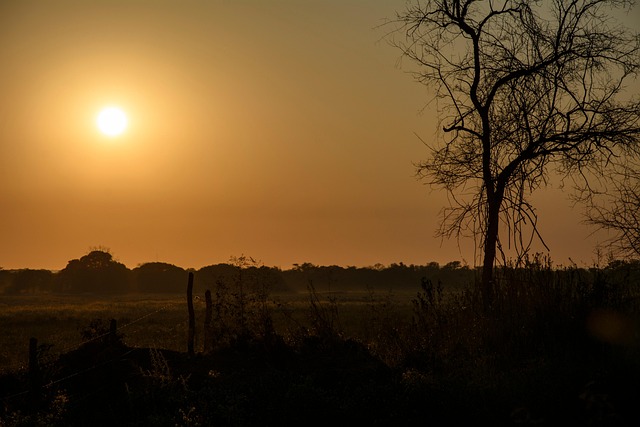 Slnko, Afrika, Prírody, Zambia