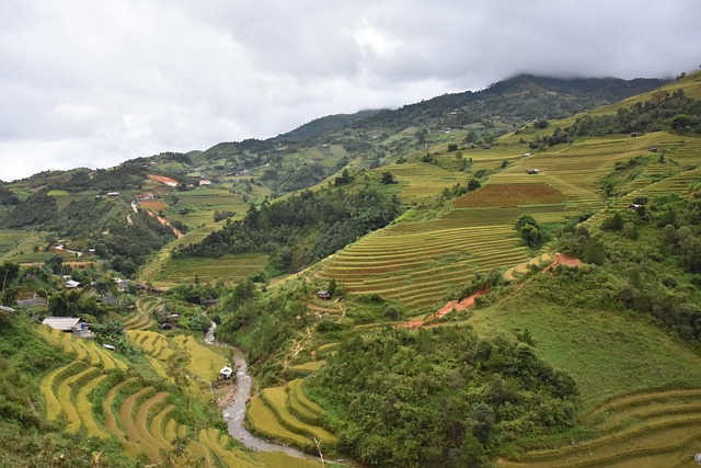 Terrazas, Montañas, Vietnam, Viaje