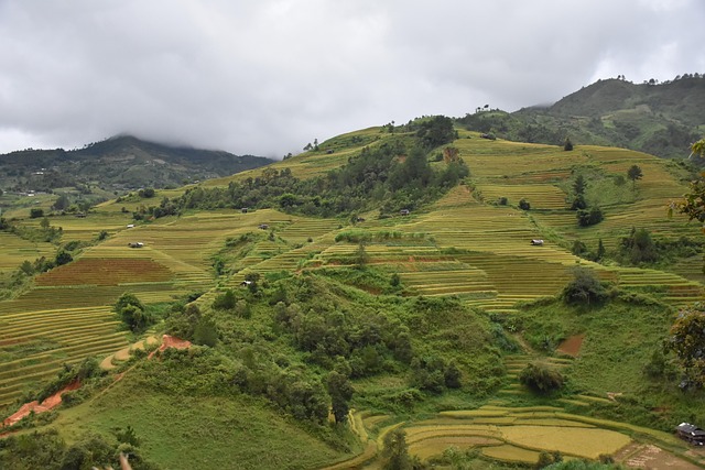 Terrazas, Montañas, Vietnam, Viaje