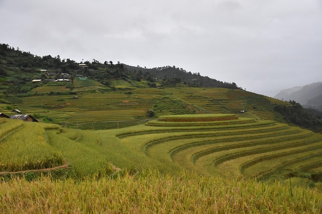 Montañas, Campo, Valle, Naturaleza
