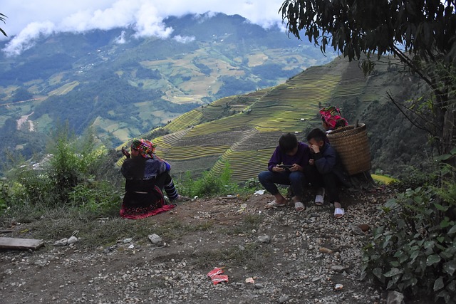 Terrazas, Montañas, Vietnam, Viaje