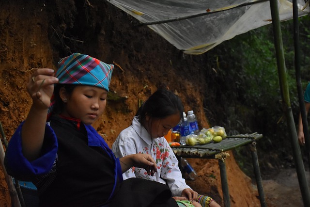 Terrazas, Montañas, Vietnam, Viaje