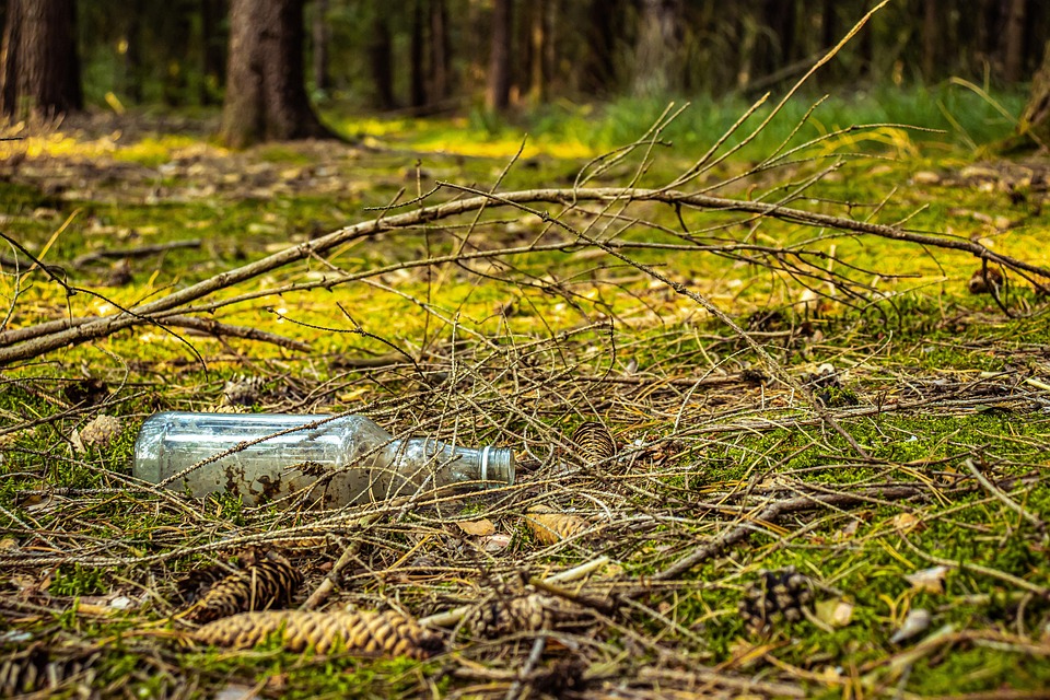 Garbage Rubbish Woods Free photo on Pixabay Pixabay
