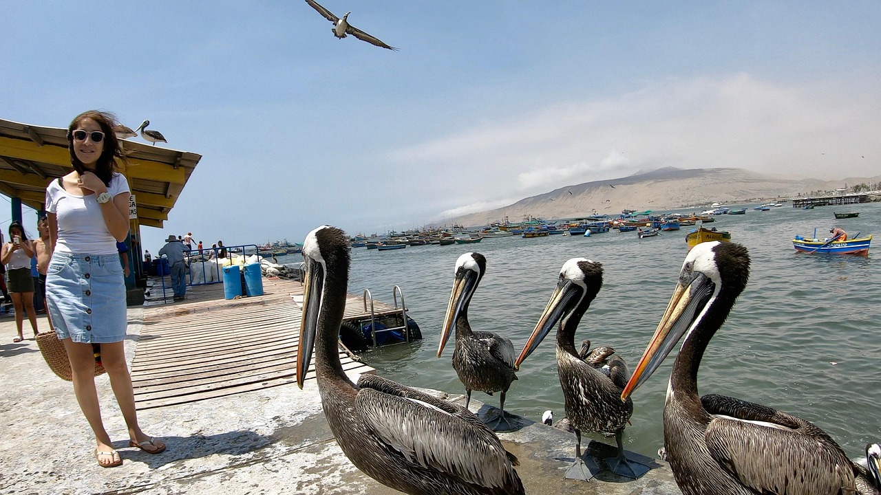 Ancon Lima - Foto gratuita no Pixabay - Pixabay