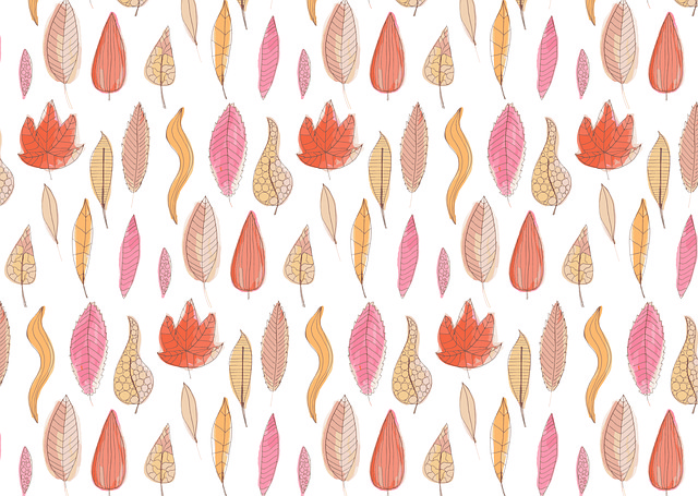 Free Leaves Full Hd Wallpaper photo and picture