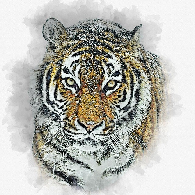 Free amur tiger tiger animal illustration