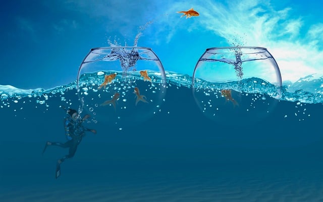 Free man diver ocean illustration