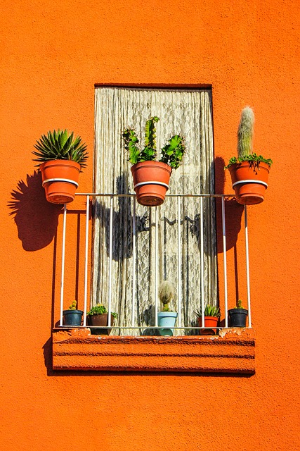 Arquitectura, México, Ventana