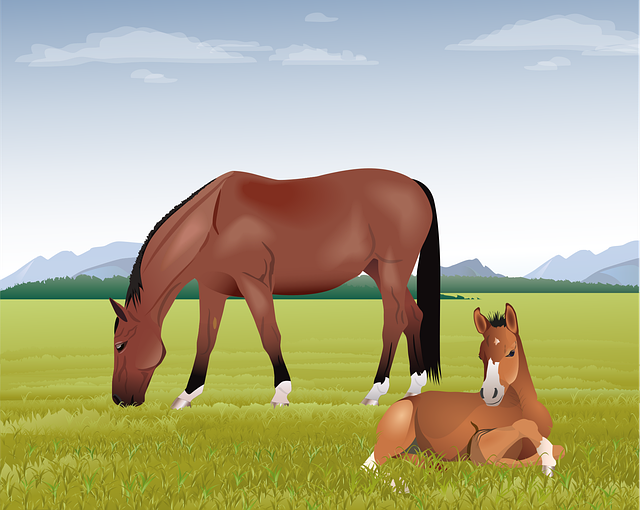 Free horses mare foal vector