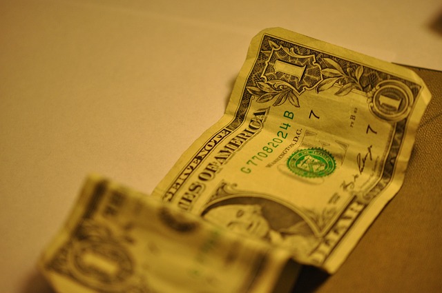 Free Dollar George Washington photo and picture