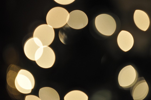 Free Light Christmas Lights photo and picture