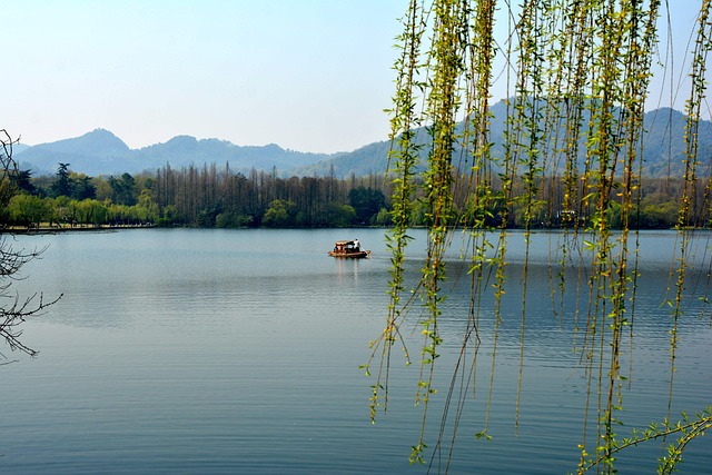 Free Lake Weeping Willow photo and picture