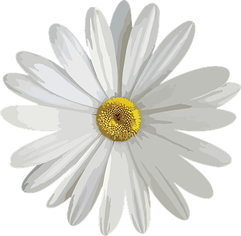 Free Flower Nature vector and picture