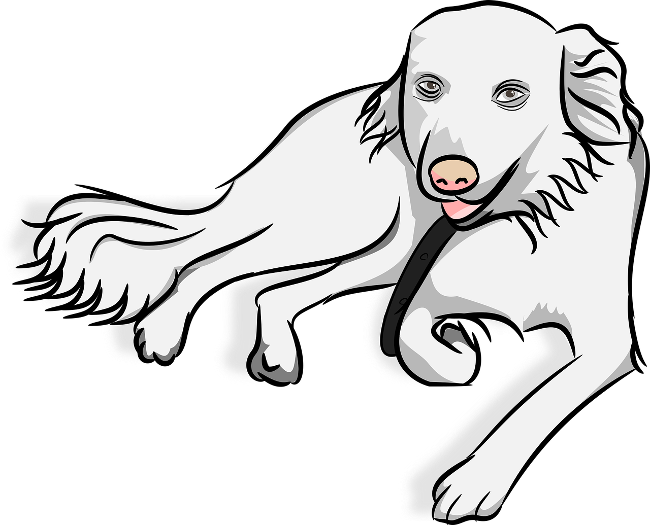 Free Dog Photos Pictures 40 000 Cute Dog Images In HD Pixabay facebook