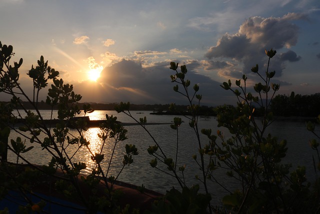 Free Sunset Sky photo and picture