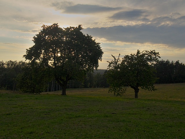 Free Sundown Sun photo and picture