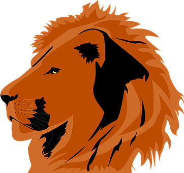 Free Lion Animal illustration and picture