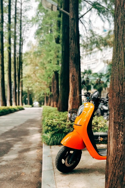 Free Park Scooter photo and picture
