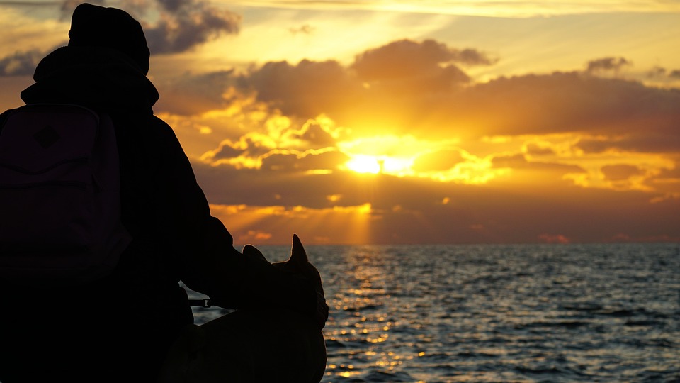 Silhouet, Vrouw, Mens En Dier, Zonsondergang