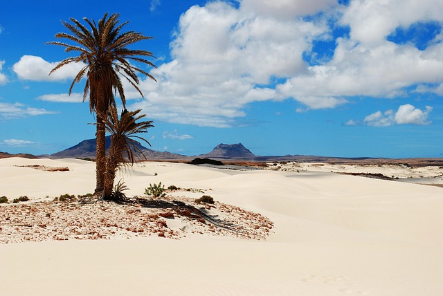 Free Cape Verde Boavista photo and picture