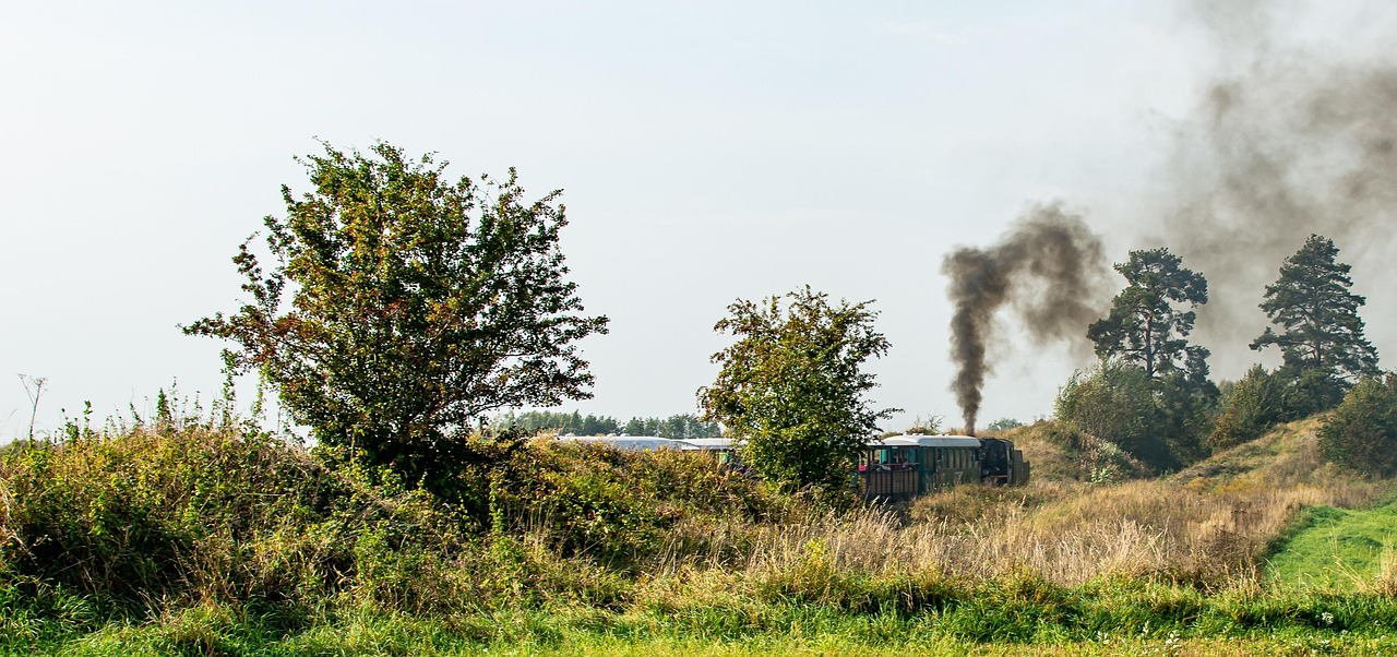 Grande Horloge Ronde Locomotive à vapeur
