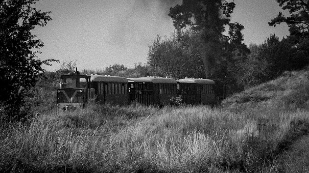 Free Train Locomotive photo and picture