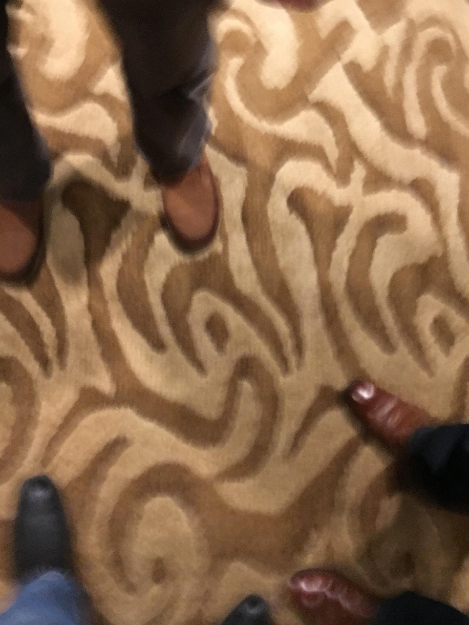 Crazy Carpet Rug Free photo on Pixabay Pixabay