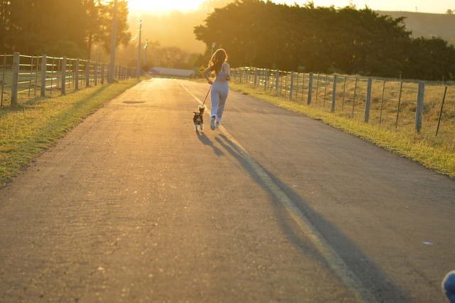 Free Road Running photo and picture