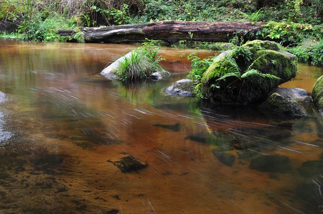 Wasser, Fluss, Natur, Das Wasser