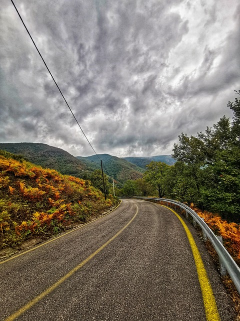 Free Nature Path photo and picture