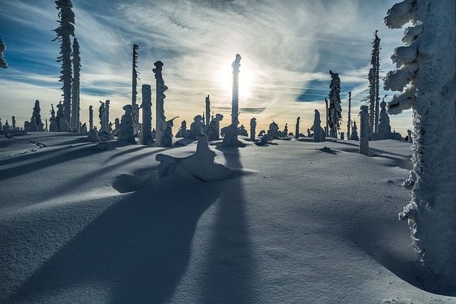 Free Mountain Snow photo and picture