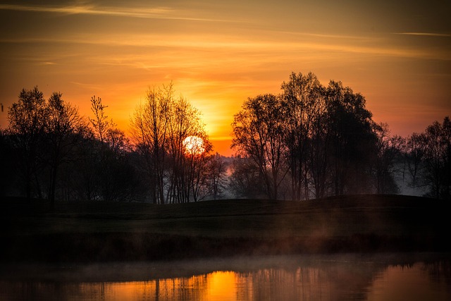 Free Lake Trees photo and picture
